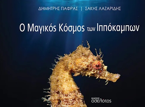 Ο ΜΑΓΙΚΟΣ ΚΟΣΜΟΣ ΤΩΝ ΙΠΠΟΚΑΜΠΩΝ