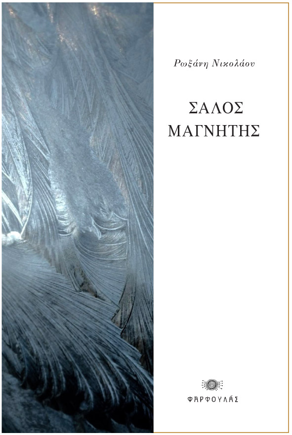 ΣΑΛΟΣ ΜΑΓΝΗΤΗΣ