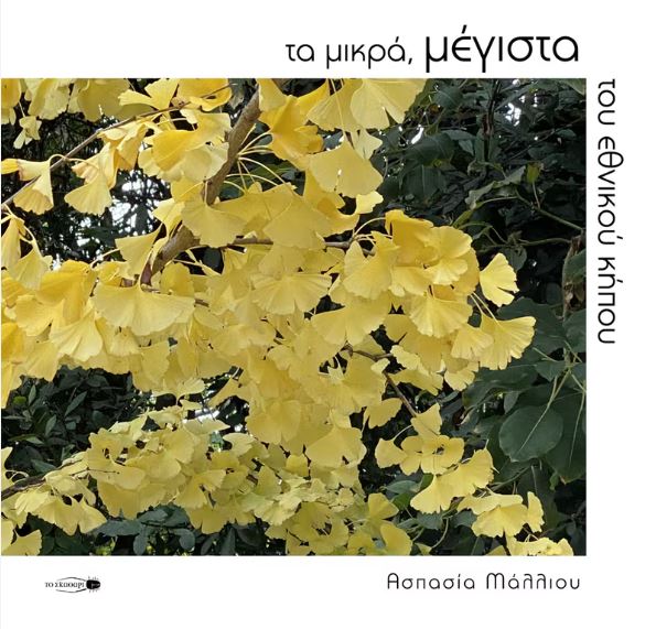 ΤΑ ΜΙΚΡΑ, ΜΕΓΙΣΤΑ ΤΟΥ ΕΘΝΙΚΟΥ ΚΗΠΟΥ