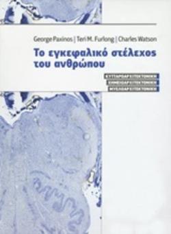 ΤΟ ΕΓΚΕΦΑΛΙΚΟ ΣΤΕΛΕΧΟΣ ΤΟΥ ΑΝΘΡΩΠΟΥ ΚΥΤΤΑΡΟΑΡΧΙΤΕΚΤΟΝΙΚΗ, ΧΗΜΕΙΟΑΡΧΙΤΕΚΤΟΝΙΚΗ, ΜΥΕΛΟΑΡΧΙΤΕΚΤΟΝΙΚΗ