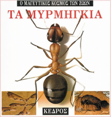 ΤΑ ΜΥΡΜΗΓΚΙΑ