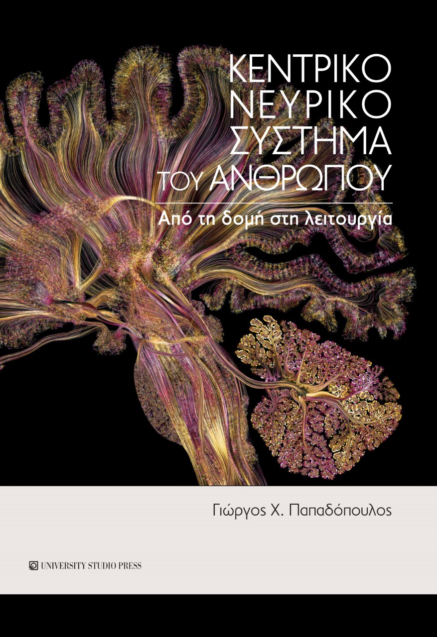 ΚΕΝΤΡΙΚΟ ΝΕΥΡΙΚΟ ΣΥΣΤΗΜΑ ΤΟΥ ΑΝΘΡΩΠΟΥ ΑΠΟ ΤΗ ΔΟΜΗ ΣΤΗ ΛΕΙΤΟΥΡΓΙΑ
