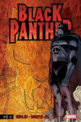 BLACK PANTHER: ΠΟΙΟΣ ΕΙΝΑΙ Ο ΜΑΥΡΟΣ ΠΑΝΘΗΡΑΣ;