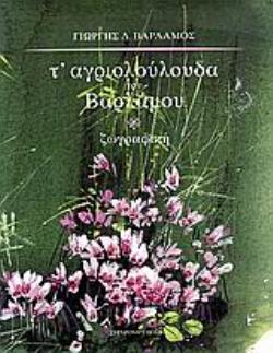 Τ' ΑΓΡΙΟΛΟΥΛΟΥΔΑ ΤΟΥ ΒΑΡΛΑΜΟΥ ΖΩΓΡΑΦΙΚΗ