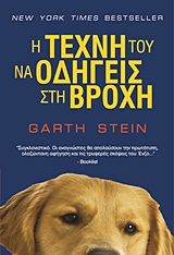 Η ΤΕΧΝΗ ΤΟΥ ΝΑ ΟΔΗΓΕΙΣ ΣΤΗ ΒΡΟΧΗ
