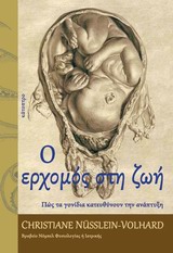 Ο ΕΡΧΟΜΟΣ ΣΤΗ ΖΩΗ ΠΩΣ ΤΑ ΓΟΝΙΔΙΑ ΚΑΤΕΥΘΥΝΟΥΝ ΤΗΝ ΑΝΑΠΤΥΞΗ