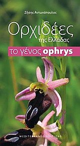 ΟΡΧΙΔΕΕΣ ΤΗΣ ΕΛΛΑΔΑΣ ΤΟ ΓΕΝΟΣ OPHRYS