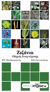 ΖΙΖΑΝΙΑ: ΟΔΗΓΟΣ ΑΝΑΓΝΩΡΙΣΗΣ