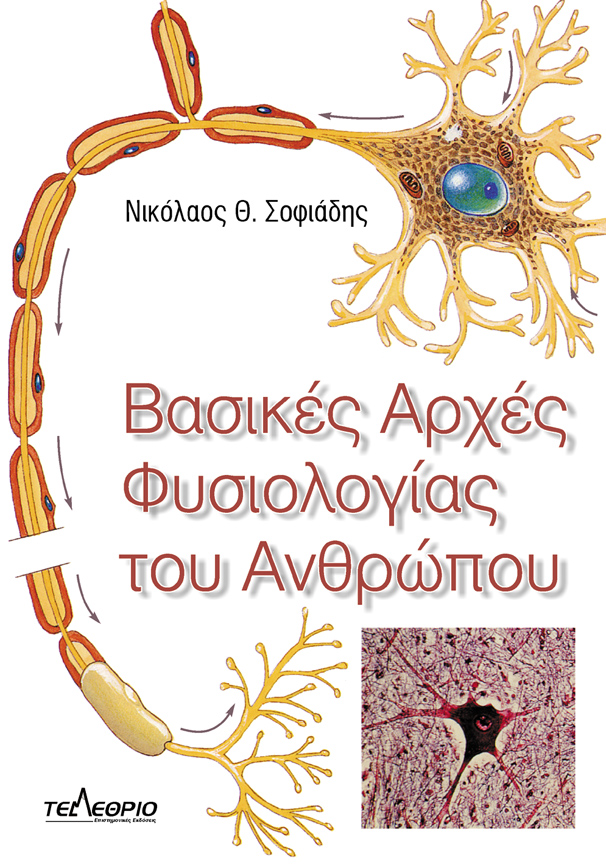 ΒΑΣΙΚΕΣ ΑΡΧΕΣ ΦΥΣΙΟΛΟΓΙΑΣ ΤΟΥ ΑΝΘΡΩΠΟΥ