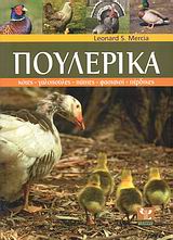 ΠΟΥΛΕΡΙΚΑ- ΚΟΤΕΣ, ΓΑΛΟΠΟΥΛΕΣ, ΠΑΠΙΕΣ, ΦΑΣΙΑΝΟΙ, ΠΕΡΔΙΚΕΣ