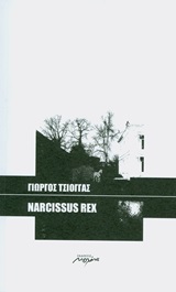 NARCISSUS REX